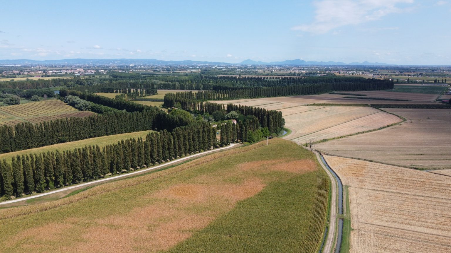 PHOTO-2024-02-14-17-02-05