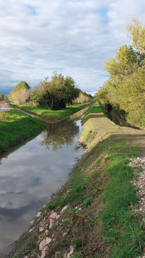Fiume Pianura Veronese