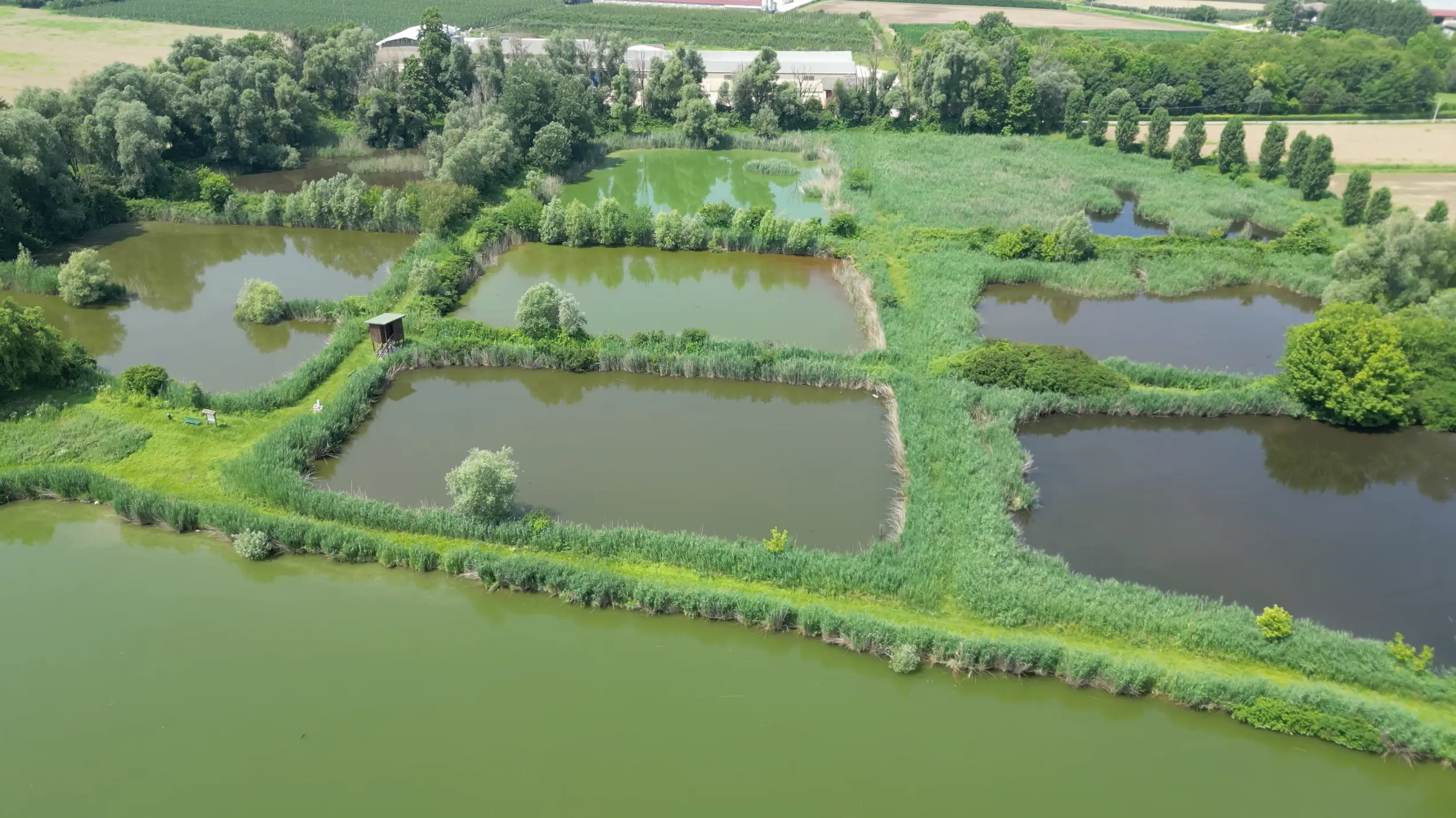 Schermata 2024-09-11 alle 12.15.35