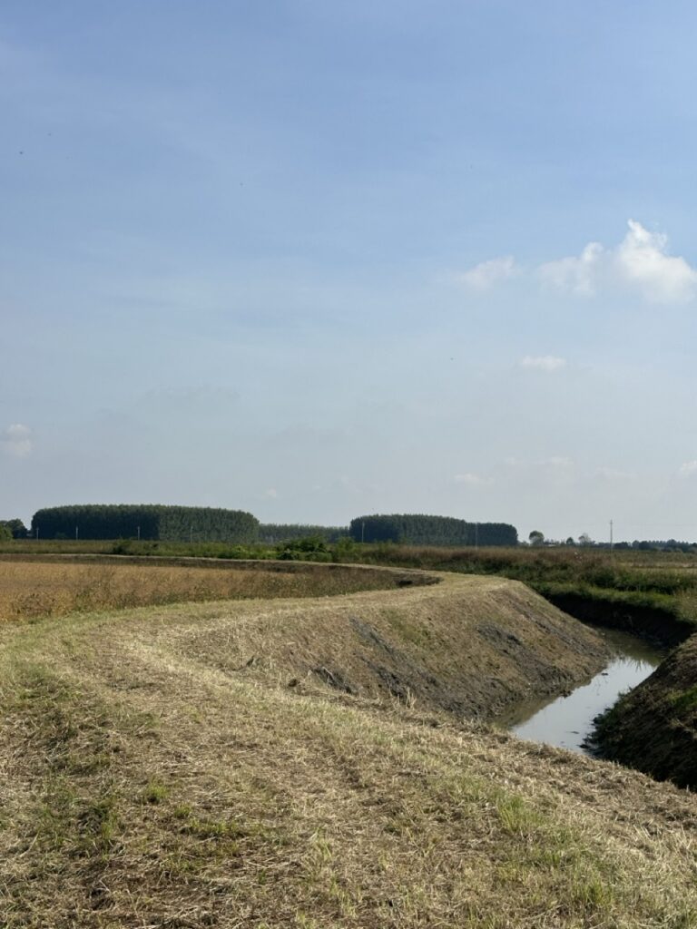 IMG_0912 - dimensioni grandi