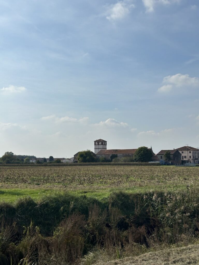 IMG_0944 - dimensioni grandi