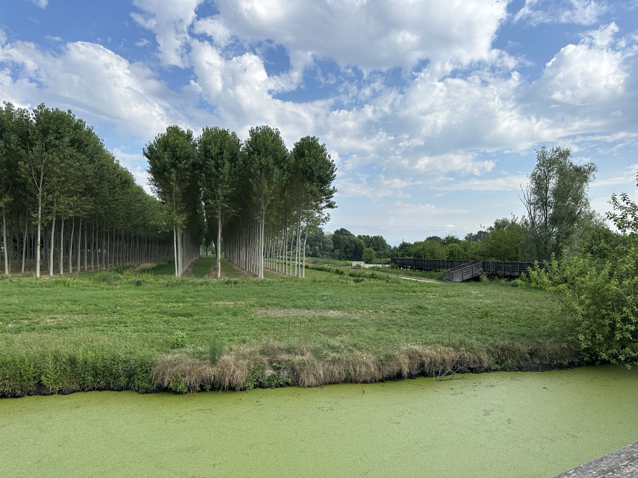 IMG_4384 - dimensioni grandi