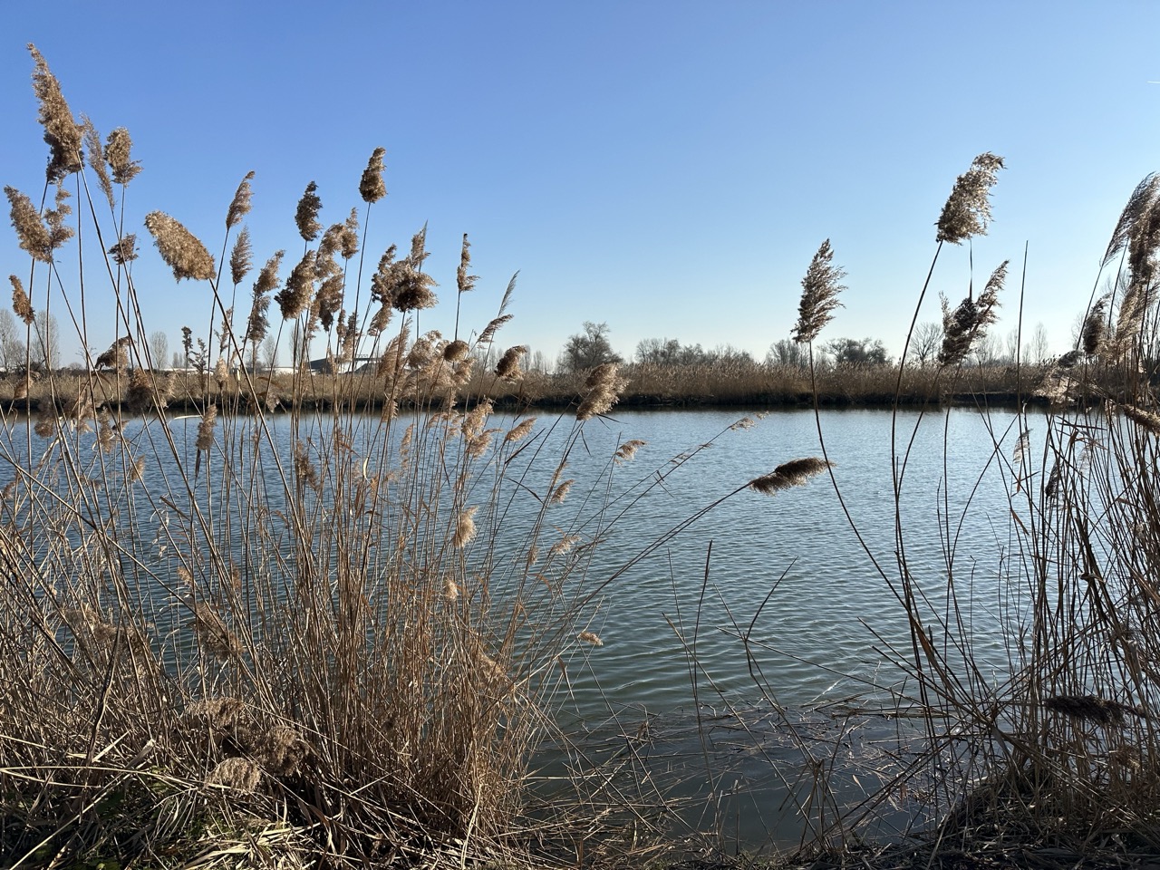 IMG_6335 - dimensioni grandi