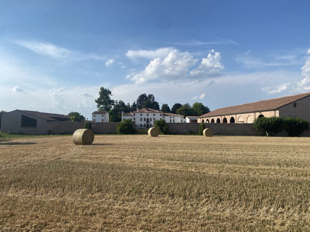 corte chiesa - dimensioni grandi