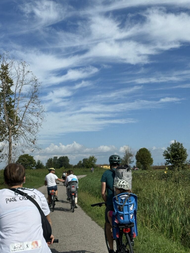 Bici - dimensioni grandi