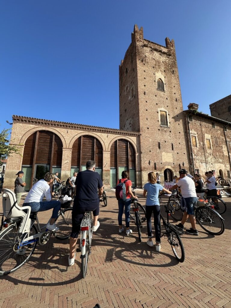 Bici salizzole - dimensioni grandi
