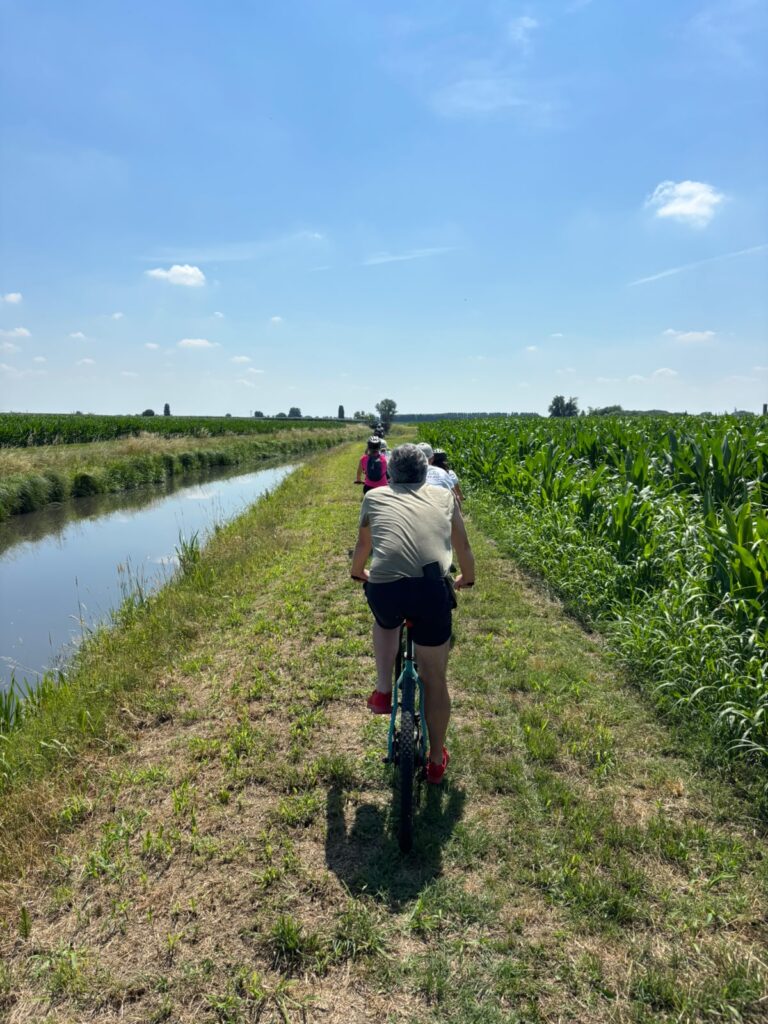 bici