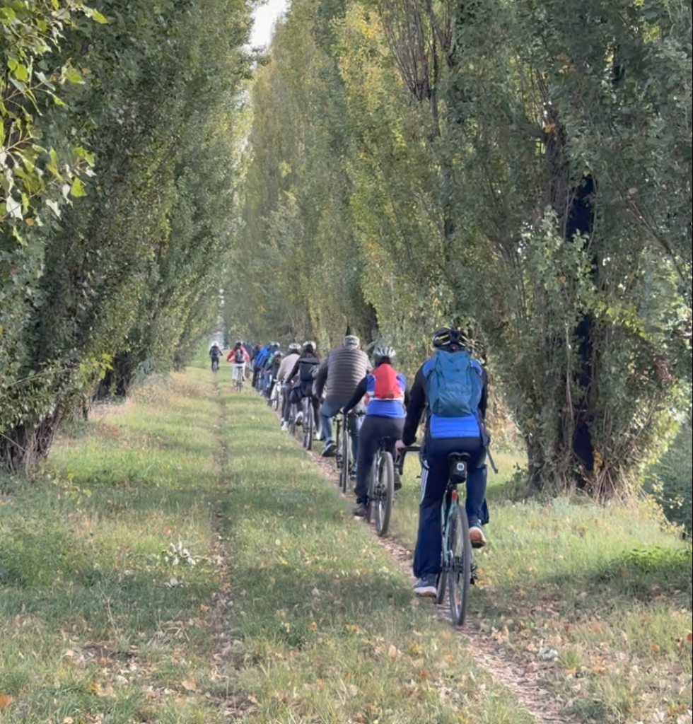 bici2