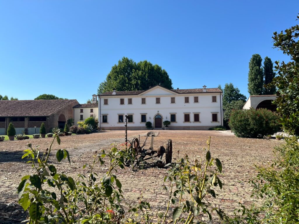 corte poiana al bosoc